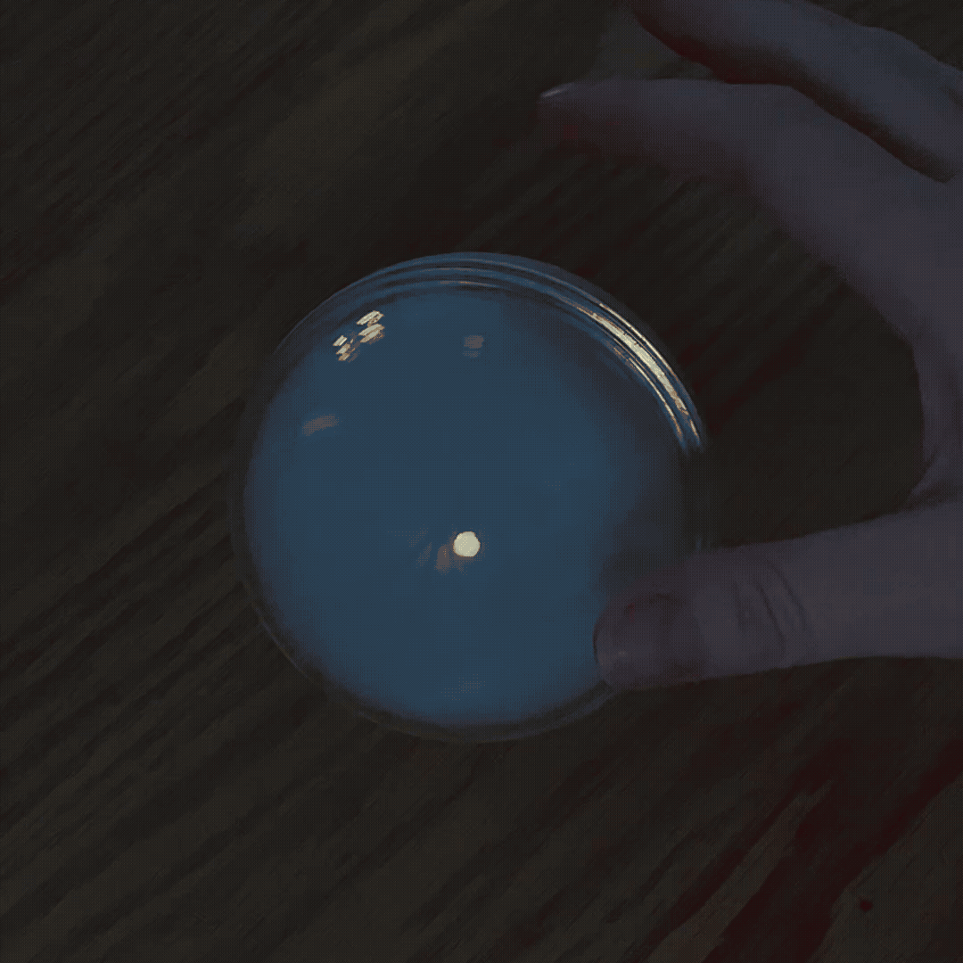 Somni Sleep Night Light