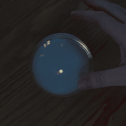 Somni Sleep Night Light